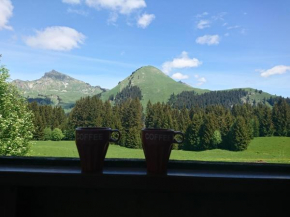 Studio à la montagne - Le Praz de Lys, Taninges